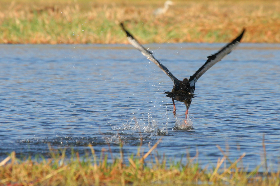 IMG_6079