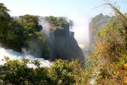 IMG_7537