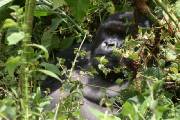 CRW_4692