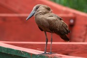 840IMG_7948