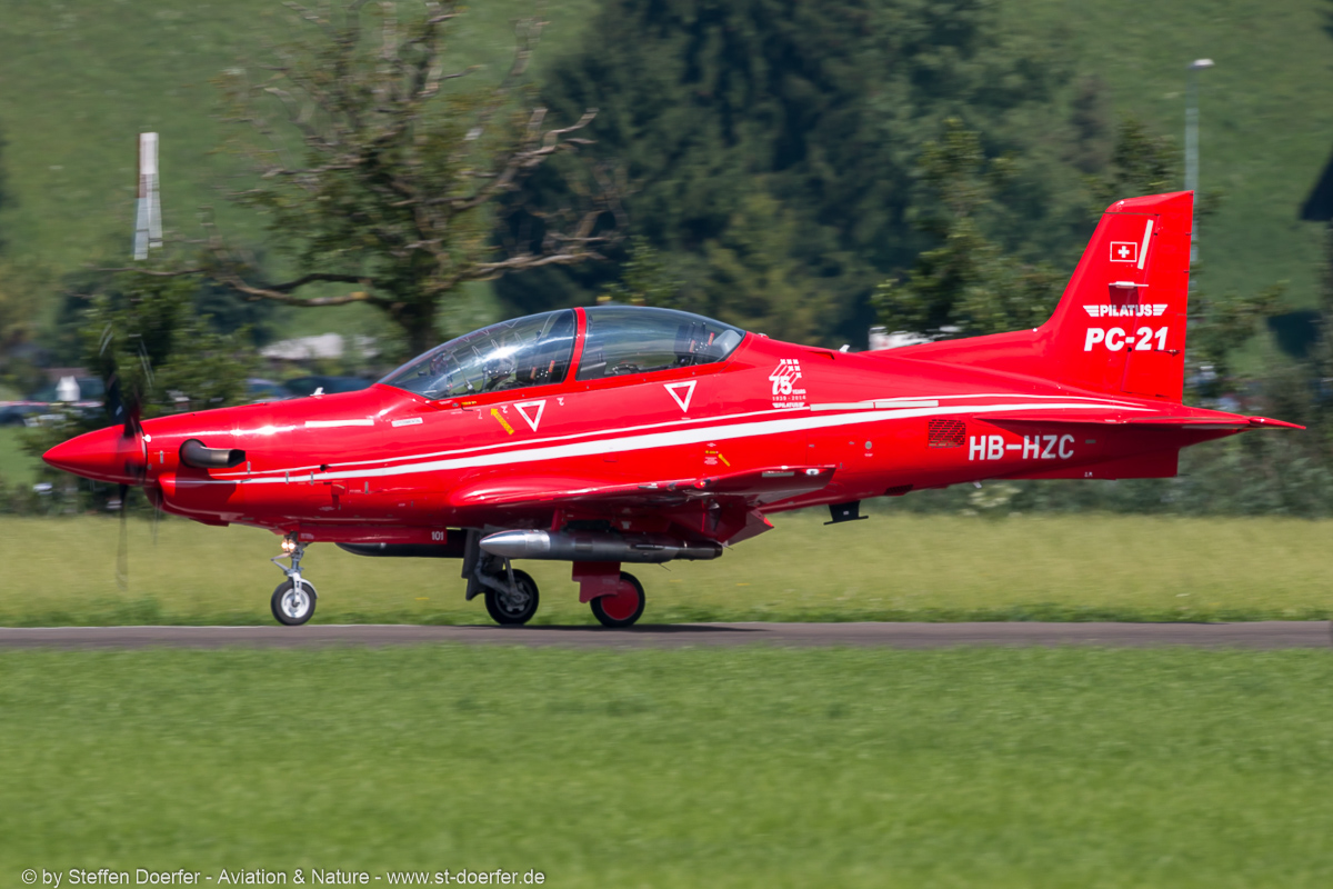 241IMG_4596