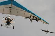 110IMG_3374