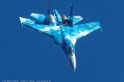 480IW5A5595