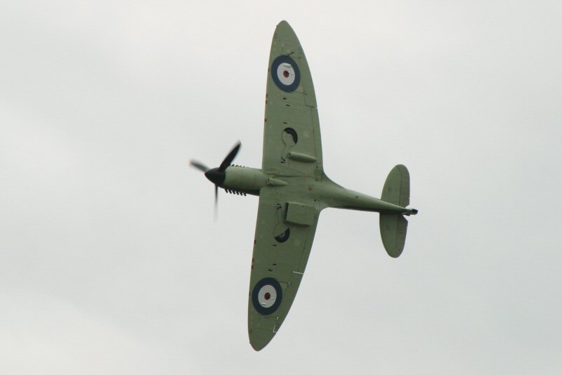 CRW_9954_RJ