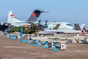 544IMG_8885