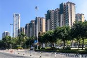 620IMG_1500